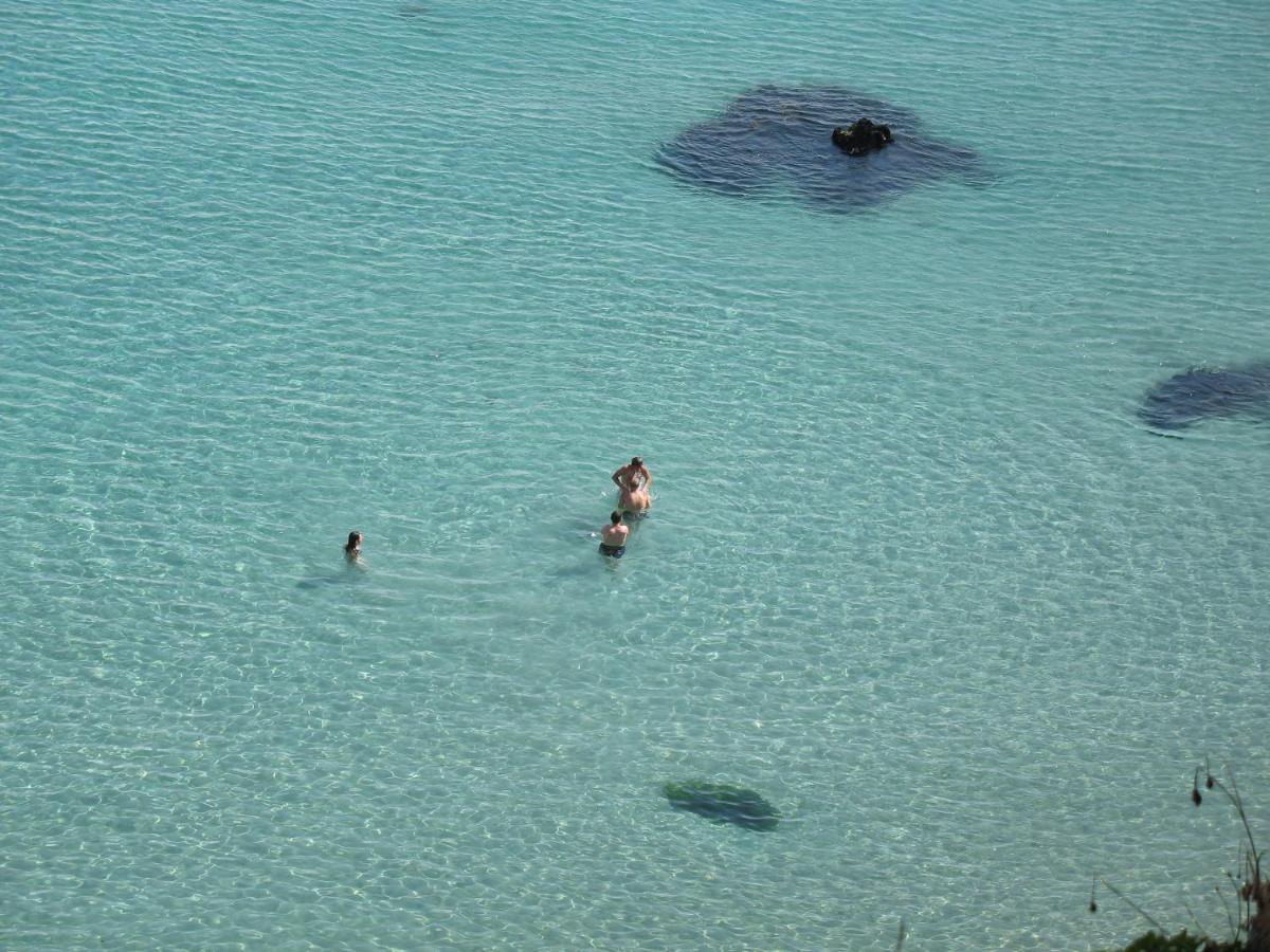Le Portzic, Appartement Proche Plage De Morgat Crozon Zewnętrze zdjęcie